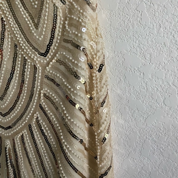 1920 Gatsby Retro. Style Beaded Sequin Fringe Cream Flapper Party Dress Size XS - Picture 14 of 16
